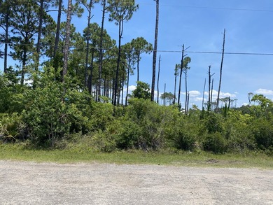 Rare opportunity to own a spacious 1/2-acre homesite in the - photo 3