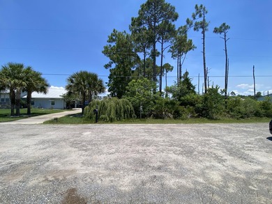 Rare opportunity to own a spacious 1/2-acre homesite in the - photo 4
