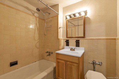 Prime Gravesend location! This 2 family property is an - photo 19