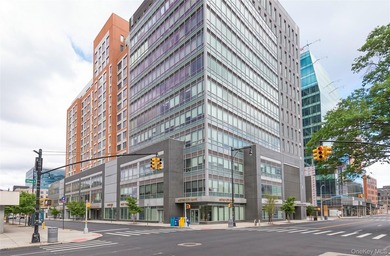 PREMIER OFFICE CONDOMINIUM | FLUSHING COMMONS | 11TH FLOOR - photo 1