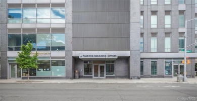 PREMIER OFFICE CONDOMINIUM | FLUSHING COMMONS | 11TH FLOOR - photo 2
