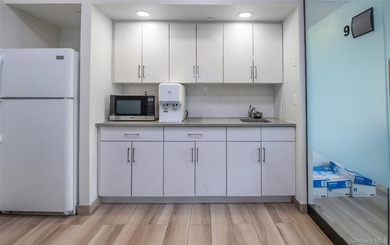 PREMIER OFFICE CONDOMINIUM | FLUSHING COMMONS | 11TH FLOOR - photo 8
