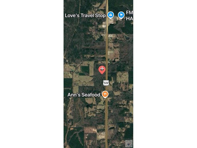 PRIME INVESTMENT OPPORTUNITY - 40 ACRES - US HWY 59 FRONTAGE - - photo 3