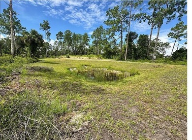 (private lake, pond, creek) Lot For Sale in Labelle Florida