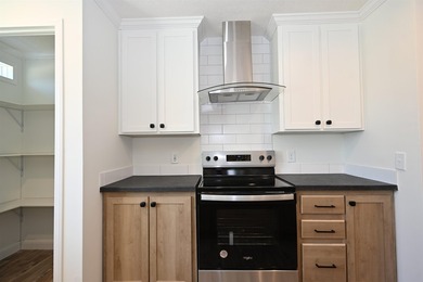 Welcome to this beautiful, brand-new manufactured home featuring - photo 6
