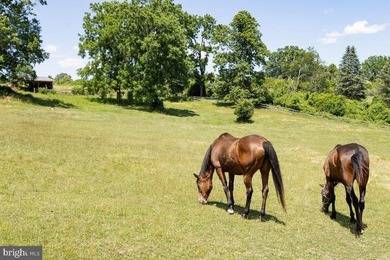 Tucked away at the end of a winding country lane, Stonehouse - photo 10