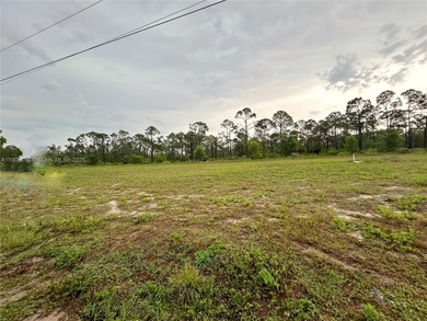 Cape Coral Area Lot For Sale in Cape Coral Florida