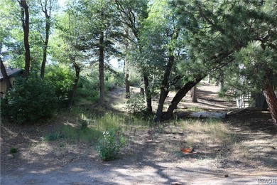 Big Bear Lake Lot For Sale in Big Bear Lake California