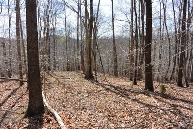 Private development 1 mile from marina. If your looking for - photo 2