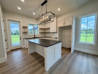 Amazing New Construction Home at Lake Malone! - photo 9