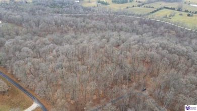 Ohio River Lot For Sale in Brandenburg Kentucky
