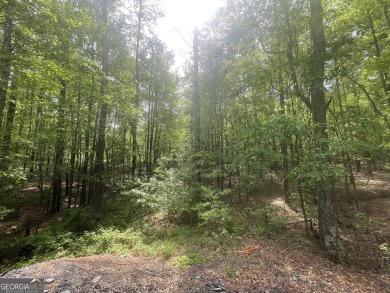 Lake Lot For Sale in Villa Rica, Georgia