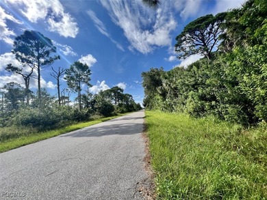 This lot offers a fantastic opportunity to build your dream home - photo 3