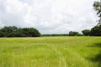 Here's your chance!!! Opportunity knocks seldom but this is one - Lake Acreage For Sale in Melrose, Florida