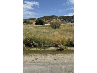 Lake Lot Sale Pending in Lake Elizabeth, California