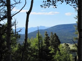 Hidden Lake - Colfax County Acreage For Sale in Angel Fire New Mexico