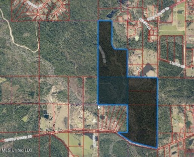 Biloxi River - Harrison County Acreage For Sale in Saucier Mississippi
