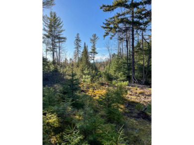 Lake Lot For Sale in Vermontville, New York