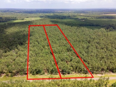 Lake Acreage For Sale in Broaddus, Texas