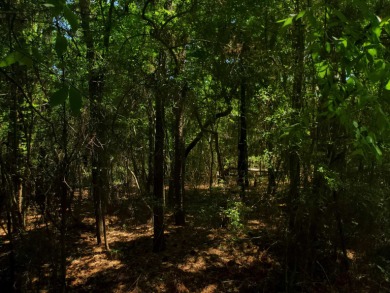 This wooded lot is a little more that half of an acre, located - Lake Lot For Sale in Hemphill, Texas