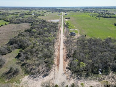 Lake Lot For Sale in Point, Texas