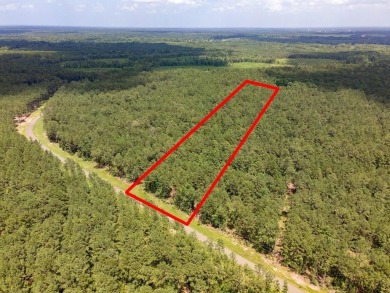 Lake Acreage For Sale in Broaddus, Texas