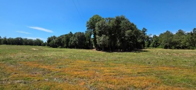 Lake Lot For Sale in Slocomb, Alabama