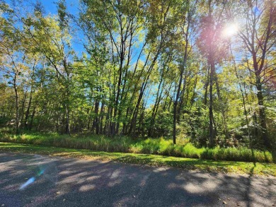 Lake Lot For Sale in Merrill, Wisconsin