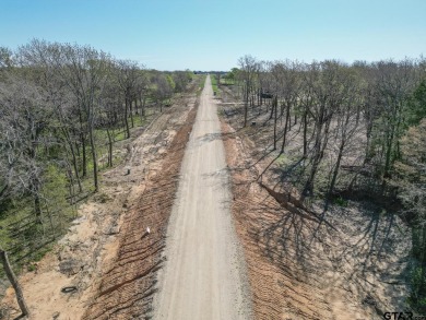 Lake Lot For Sale in Point, Texas