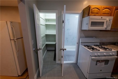 Welcome to Flatlands Ave! This beautifully renovated multifamily - photo 20
