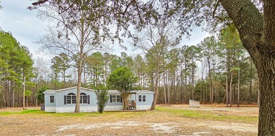 (private lake, pond, coastal) Home For Sale in Ruffin South Carolina