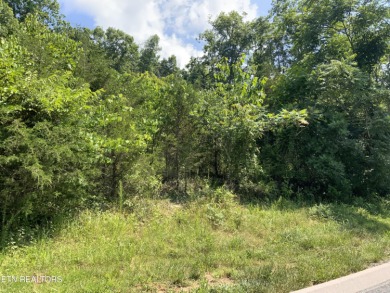 Norris Lake Lot For Sale in New Tazewell Tennessee
