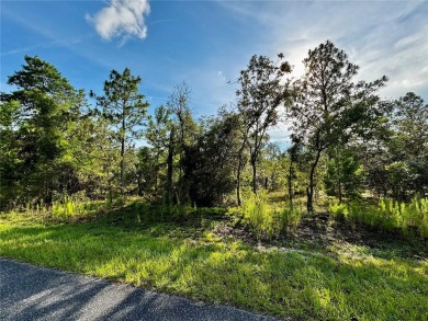 Lake Lot For Sale in Dunnellon, Florida