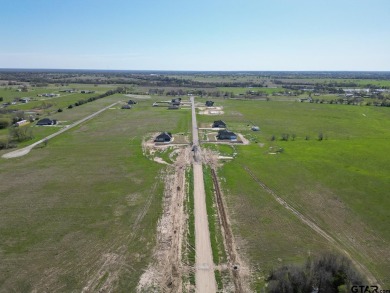Lake Lot For Sale in Point, Texas