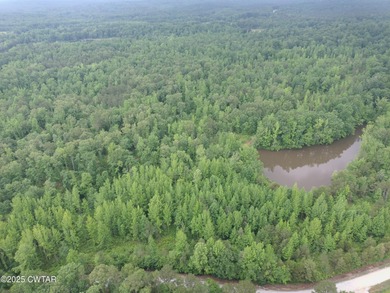 (private lake, pond, creek) Acreage For Sale in Pinson Tennessee