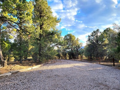 El Vado Lake Home For Sale in Los Ojos New Mexico