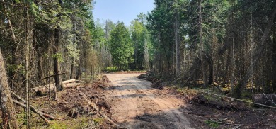 Lake Huron - Mackinac County Lot For Sale in Hessel Michigan