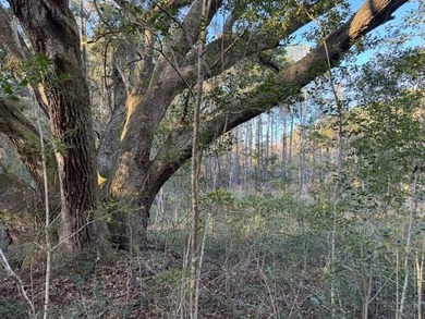 Experience the peace and privacy of country living on this - photo 3