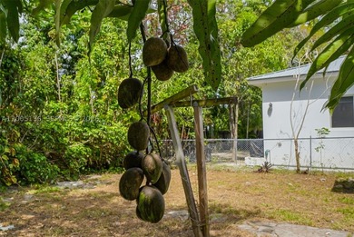 Unparalleled Development Opportunity in West Coconut Grove! This - photo 8