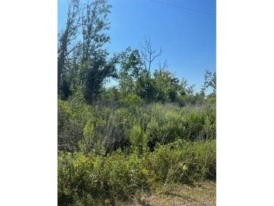 Calcasieu Lake Lot For Sale in Lake Charles Louisiana