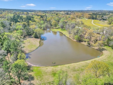 (private lake, pond, creek) Home For Sale in Lindale Texas