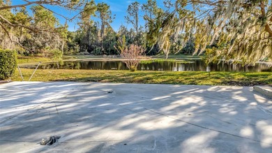 Lake Harris Lot For Sale in Tavares Florida