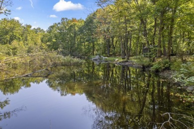 (private lake, pond, creek) Commercial For Sale in Newfield Maine