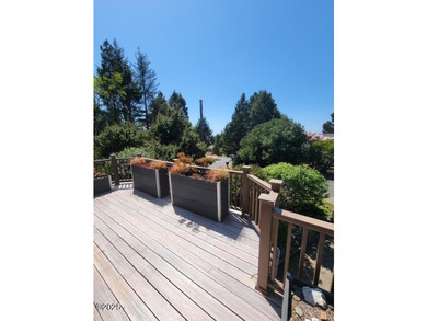 Ocean peaks and priced to sell at $749,900 for this Luxury - photo 7