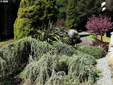 Perched on 42 pristine acres overlooking the Rogue River, this - photo 36