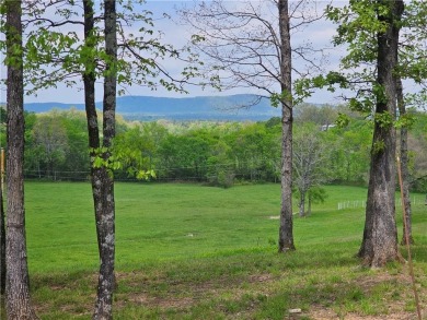 Lake Home For Sale in Other AR, Arkansas