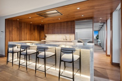 Absolutely STUNNING, penthouse level furnished condo that l will - photo 10