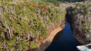 Lake Acreage For Sale in Wedowee, Alabama