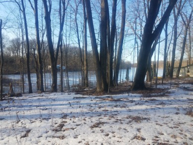 Lake Lot Off Market in Shelbyville, Michigan