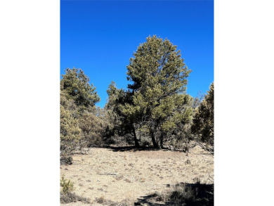 Lake Acreage For Sale in Los Ojos, New Mexico